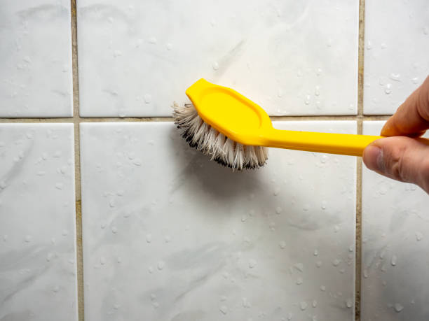 Best Professional Mold Removal  in Casas Adobes, AZ