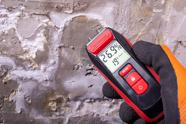 Best Mold Testing  in Casas Adobes, AZ