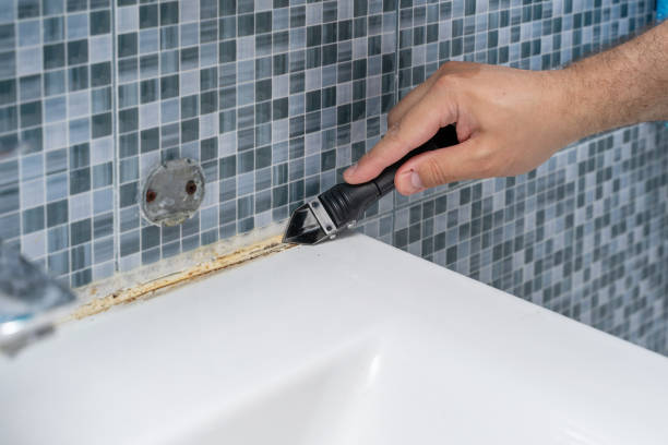 Best Mold Remediation Services  in Casas Adobes, AZ